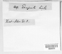 Image Associated With the Occurence